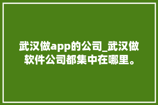 武汉做app的公司_武汉做软件公司都集中在哪里。