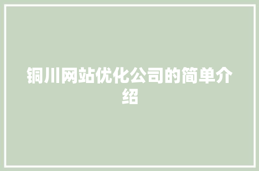 铜川网站优化公司的简单介绍