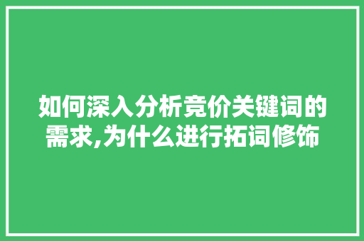 如何深入分析竞价关键词的需求,为什么进行拓词修饰。