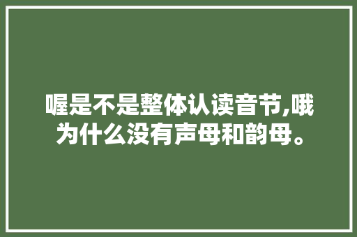 喔是不是整体认读音节,哦为什么没有声母和韵母。 喔是不是整体认读音节,哦为什么没有声母和韵母。 网站建设公司