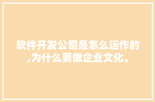 软件开发公司是怎么运作的,为什么要做企业文化。 软件开发公司是怎么运作的,为什么要做企业文化。 SEO关键词