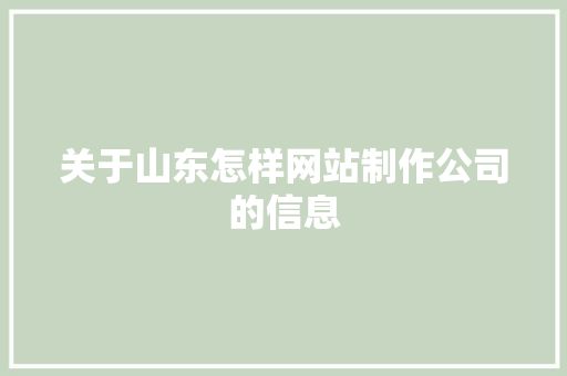 关于山东怎样网站制作公司的信息 关于山东怎样网站制作公司的信息 网站建设公司
