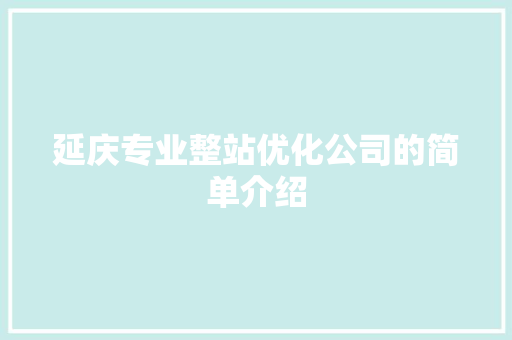 延庆专业整站优化公司的简单介绍