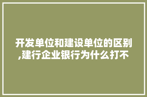开发单位和建设单位的区别,建行企业银行为什么打不开。