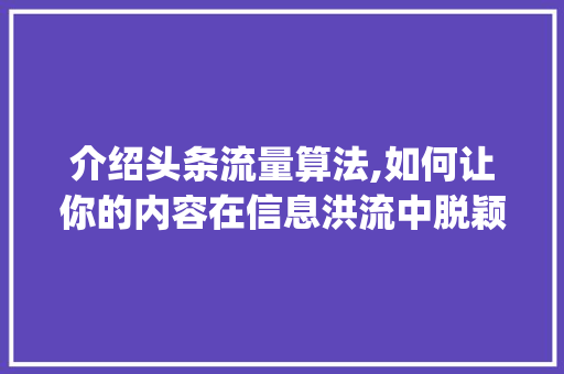 介绍头条流量算法,如何让你的内容在信息洪流中脱颖而出(头条的流量算法)