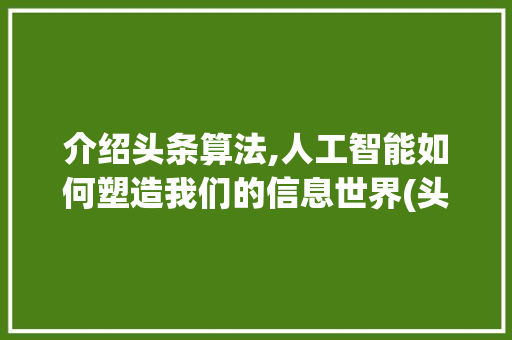 介绍头条算法,人工智能如何塑造我们的信息世界(头条算法是什么)