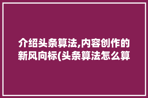 介绍头条算法,内容创作的新风向标(头条算法怎么算)