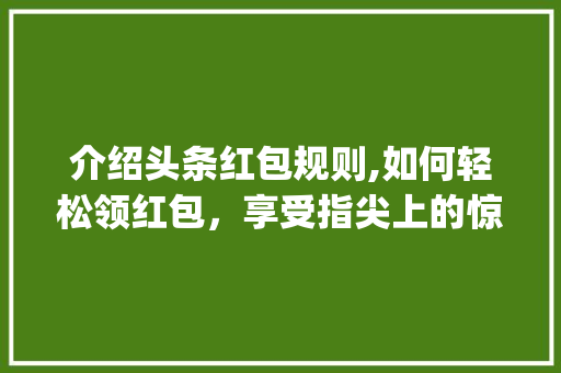 介绍头条红包规则,如何轻松领红包，享受指尖上的惊喜(头条接红包规则)