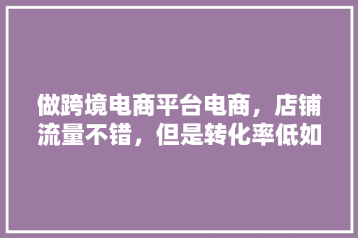 做跨境电商平台电商，店铺流量不错，但是转化率低如何调整,电商转化率为什么低了。 做跨境电商平台电商，店铺流量不错，但是转化率低如何调整,电商转化率为什么低了。 百度SEO