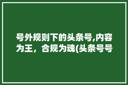 号外规则下的头条号,内容为王，合规为魂(头条号号外规则)