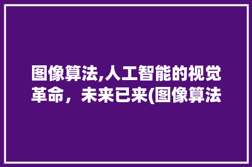 图像算法,人工智能的视觉革命，未来已来(图像算法头条号)