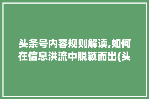 头条号内容规则解读,如何在信息洪流中脱颖而出(头条号内容规则)