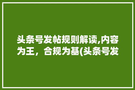 头条号发帖规则解读,内容为王，合规为基(头条号发帖规则) 头条号发帖规则解读,内容为王，合规为基(头条号发帖规则) 神马SEO