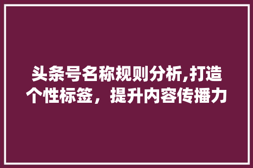 头条号名称规则分析,打造个性标签，提升内容传播力(头条号名称规则)