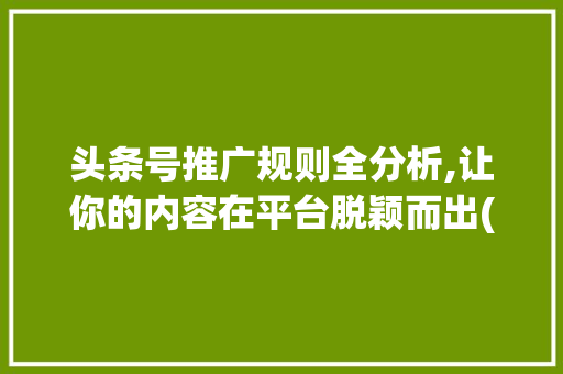 头条号推广规则全分析,让你的内容在平台脱颖而出(头条号推广规则)