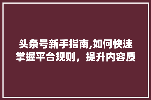 头条号新手指南,如何快速掌握平台规则，提升内容质量(头条号新手规则)