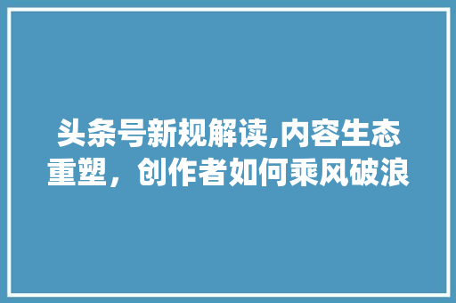 头条号新规解读,内容生态重塑，创作者如何乘风破浪(头条号变化规则)