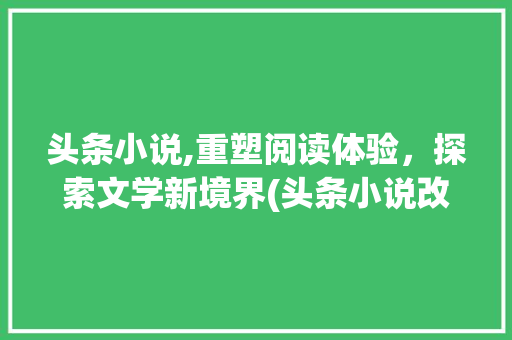 头条小说,重塑阅读体验，探索文学新境界(头条小说改规则)
