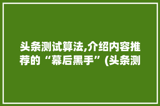 头条测试算法,介绍内容推荐的“幕后黑手”(头条测试算法题) 头条测试算法,介绍内容推荐的“幕后黑手”(头条测试算法题) 必应SEO