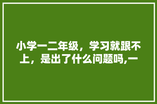 小学一二年级，学习就跟不上，是出了什么问题吗,一年级为什么英语学不会了。