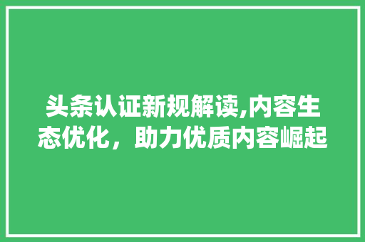 头条认证新规解读,内容生态优化，助力优质内容崛起(头条认证变规则) 头条认证新规解读,内容生态优化，助力优质内容崛起(头条认证变规则) 百度SEO