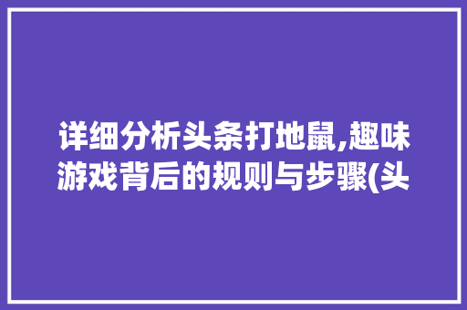 详细分析头条打地鼠,趣味游戏背后的规则与步骤(头条打地鼠规则) 详细分析头条打地鼠,趣味游戏背后的规则与步骤(头条打地鼠规则) SEO关键词