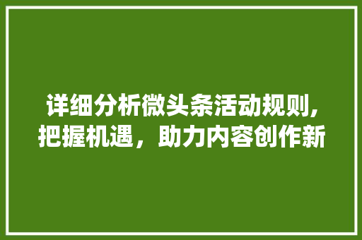 详细分析微头条活动规则,把握机遇，助力内容创作新篇章(微头条活动规则) 详细分析微头条活动规则,把握机遇，助力内容创作新篇章(微头条活动规则) 神马SEO