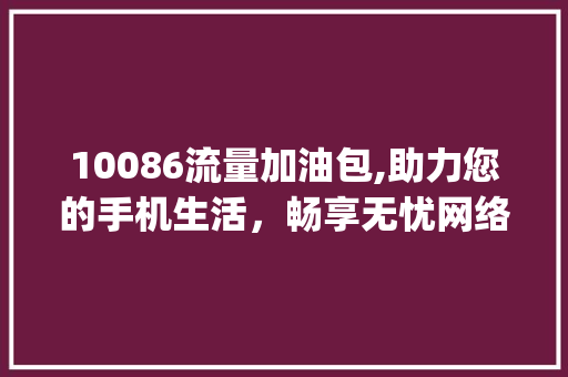 10086流量加油包,助力您的手机生活，畅享无忧网络体验(10086流量加油包代码)