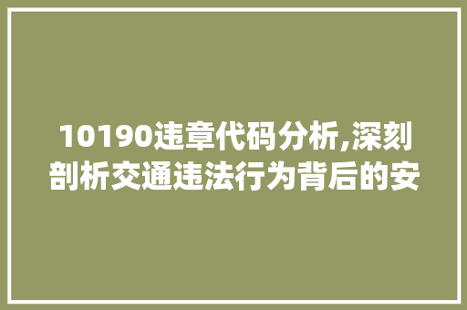 10190违章代码分析,深刻剖析交通违法行为背后的安全隐患(10190违章代码)