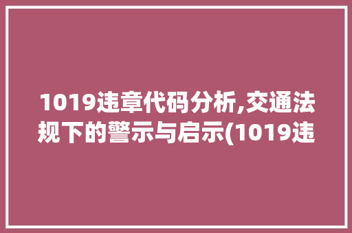1019违章代码分析,交通法规下的警示与启示(1019违章代码是什么意思)