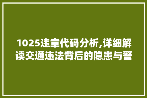 1025违章代码分析,详细解读交通违法背后的隐患与警示(1025违章代码查询) 必应SEO 1025违章代码分析,详细解读交通违法背后的隐患与警示(1025违章代码查询) 1025违章代码分析,详细解读交通违法背后的隐患与警示(1025违章代码查询) 必应SEO