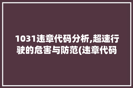 1031违章代码分析,超速行驶的危害与防范(违章代码1031)