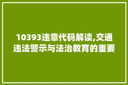 10393违章代码解读,交通违法警示与法治教育的重要性(10393违章代码是什么意思) 10393违章代码解读,交通违法警示与法治教育的重要性(10393违章代码是什么意思) 必应SEO
