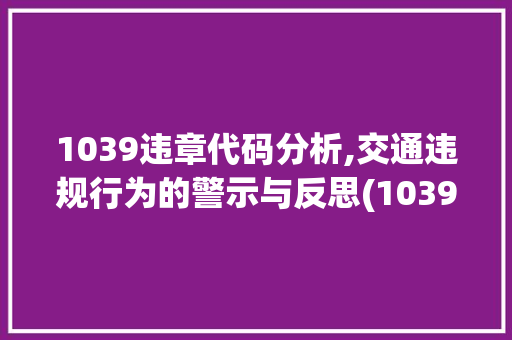 1039违章代码分析,交通违规行为的警示与反思(1039违章代码是什么意思)