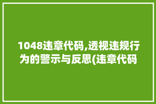 1048违章代码,透视违规行为的警示与反思(违章代码1048)