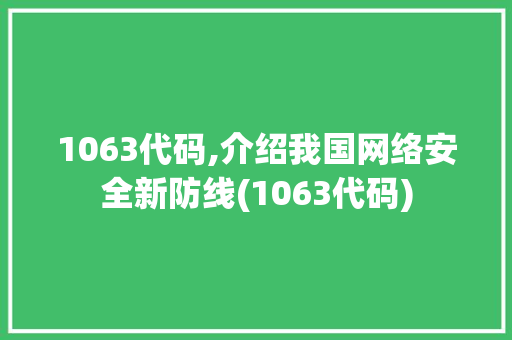 1063代码,介绍我国网络安全新防线(1063代码) 1063代码,介绍我国网络安全新防线(1063代码) 网站建设公司