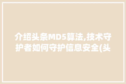 介绍头条MD5算法,技术守护者如何守护信息安全(头条md5算法)