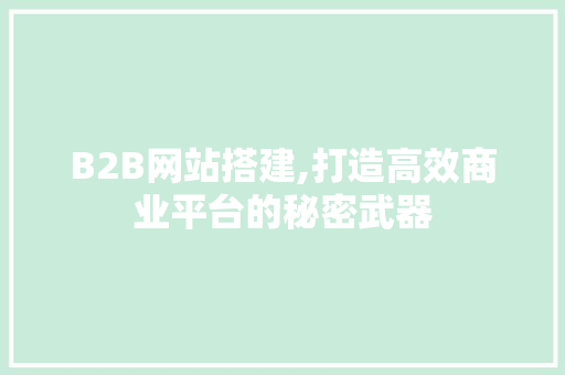 B2B网站搭建,打造高效商业平台的秘密武器
