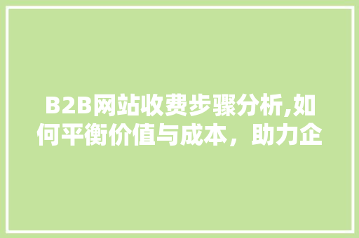 B2B网站收费步骤分析,如何平衡价值与成本，助力企业高效拓展业务