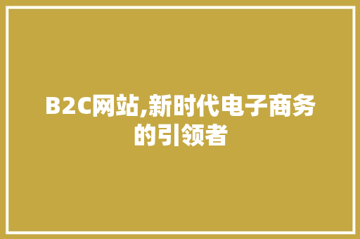 B2C网站,新时代电子商务的引领者