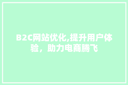 B2C网站优化,提升用户体验，助力电商腾飞 B2C网站优化,提升用户体验，助力电商腾飞 SEO关键词