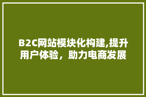 B2C网站模块化构建,提升用户体验，助力电商发展 B2C网站模块化构建,提升用户体验，助力电商发展 SEO关键词