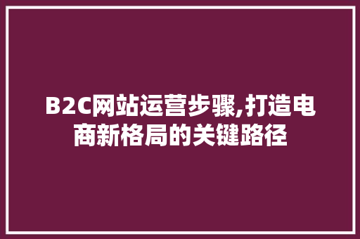 B2C网站运营步骤,打造电商新格局的关键路径 百度SEO B2C网站运营步骤,打造电商新格局的关键路径 B2C网站运营步骤,打造电商新格局的关键路径 百度SEO