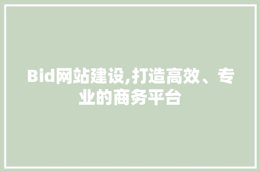 Bid网站建设,打造高效、专业的商务平台