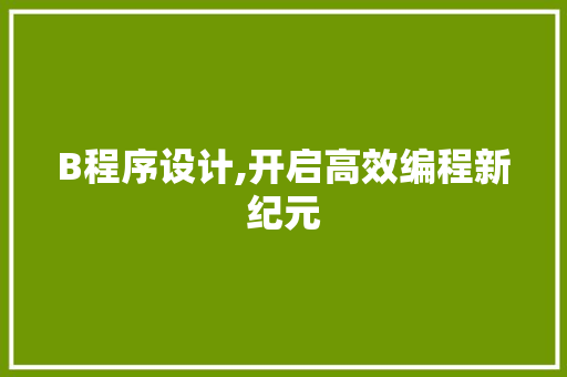 B程序设计,开启高效编程新纪元