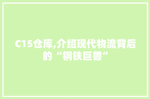 C15仓库,介绍现代物流背后的“钢铁巨兽”