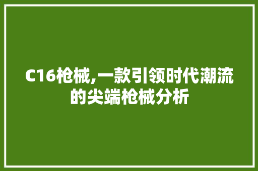 C16枪械,一款引领时代潮流的尖端枪械分析 C16枪械,一款引领时代潮流的尖端枪械分析 百度SEO