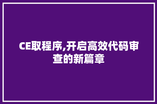 CE取程序,开启高效代码审查的新篇章