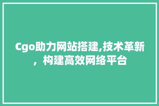 Cgo助力网站搭建,技术革新，构建高效网络平台