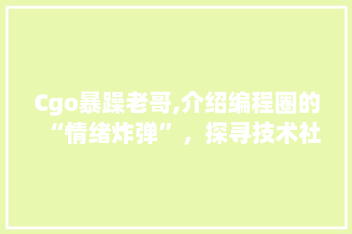 Cgo暴躁老哥,介绍编程圈的“情绪炸弹”，探寻技术社区心理健康之路